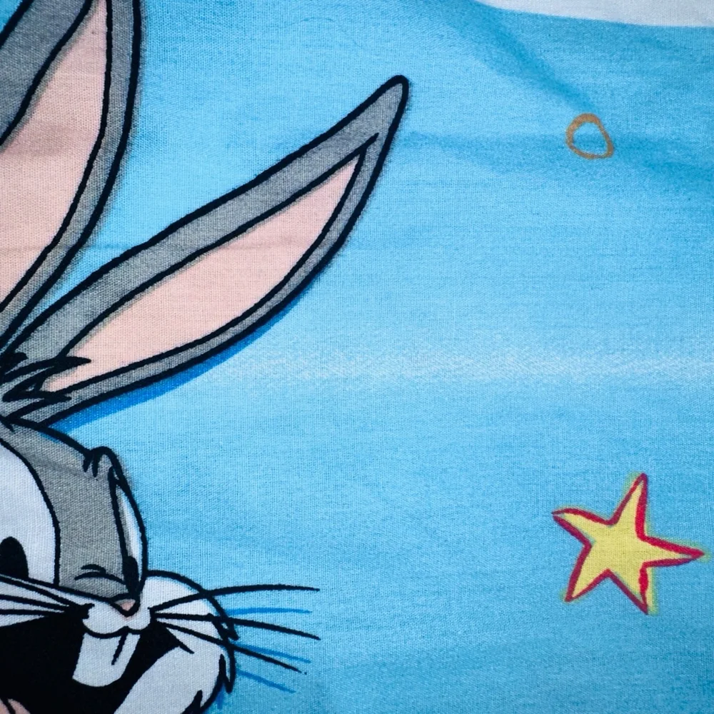 RARE Vintage 2000 Warner Bros Bugs Tweety Taz Donald Duck Twin Bed Sheet Set